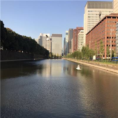 am8亚美ag旗舰厅官网app下载